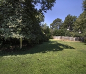 Backyard with green grass green bushes and trees and wood fence around backyard