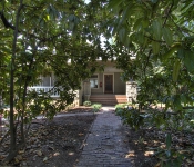 Brick pathway with trees around it brick steps to front door and brown wood framed front door
