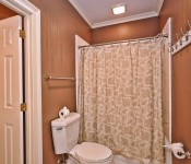 Bathroom with brown walls white trim brown and white shower curtain white toilet