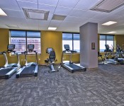 Gym with yellow walls gray carpet tile ceiling with fluorescent lighting windows with view of skyscrapers
