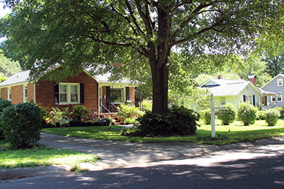 Street with homes on it a large tree in front focus