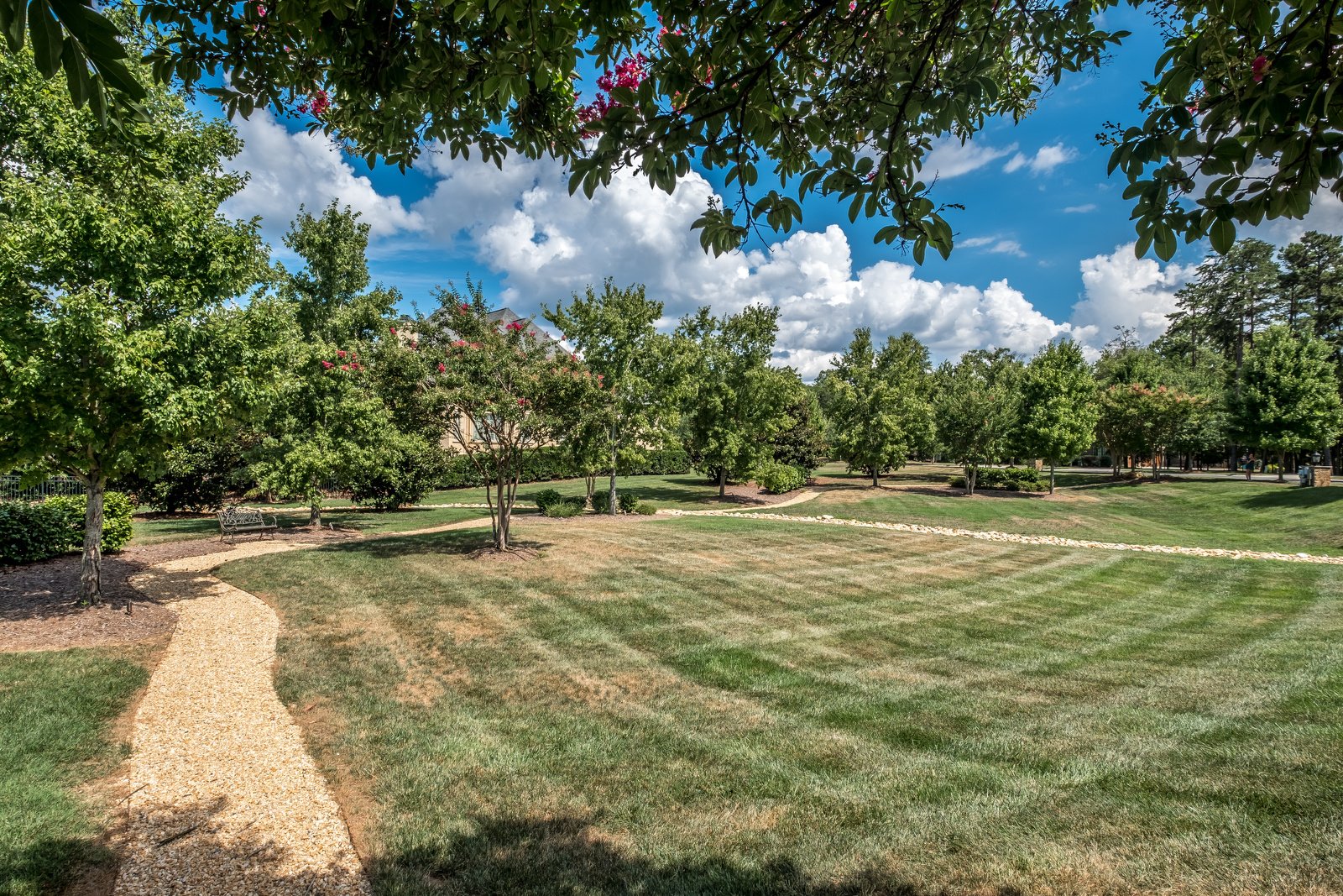 Park with green grass stone pathway trees and flowers blue sky