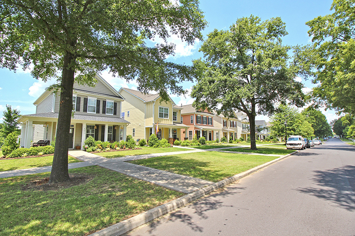 Tree lined street with green grass and a row of houses with different color siding and front porches